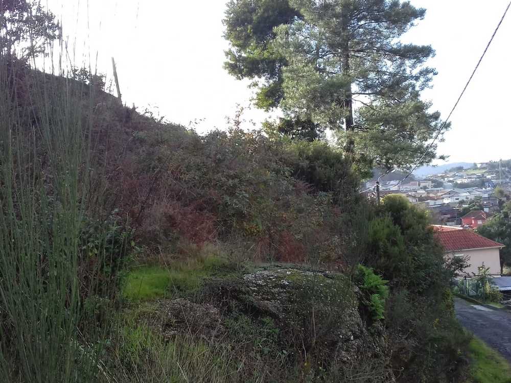 Pilar Vila Do Porto terrain foto 116087