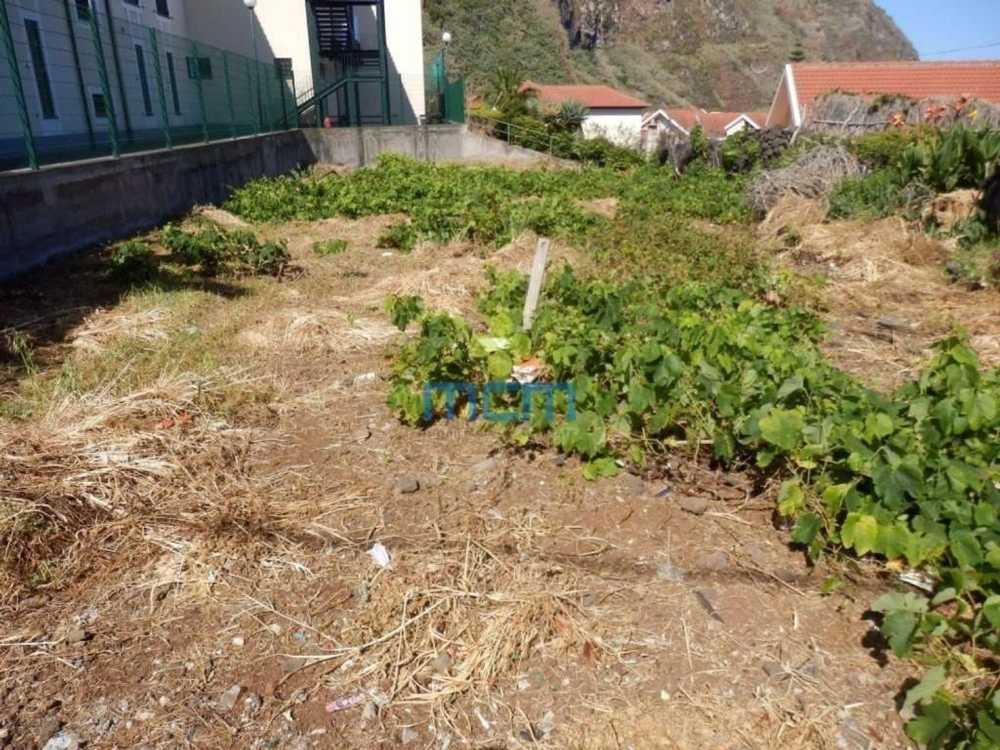  köpa tomt Porto Moniz Ilha da Madeira 1