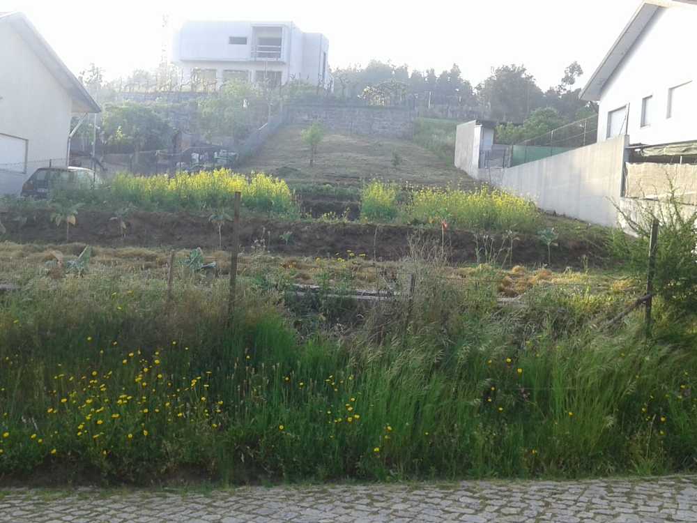  köpa tomt  Fonte do Jordão de Baixo  Vila Do Porto 6