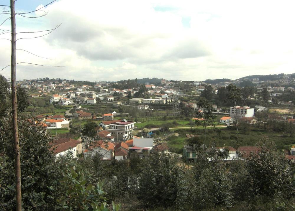 Lordelo Felgueiras terrain picture 4051