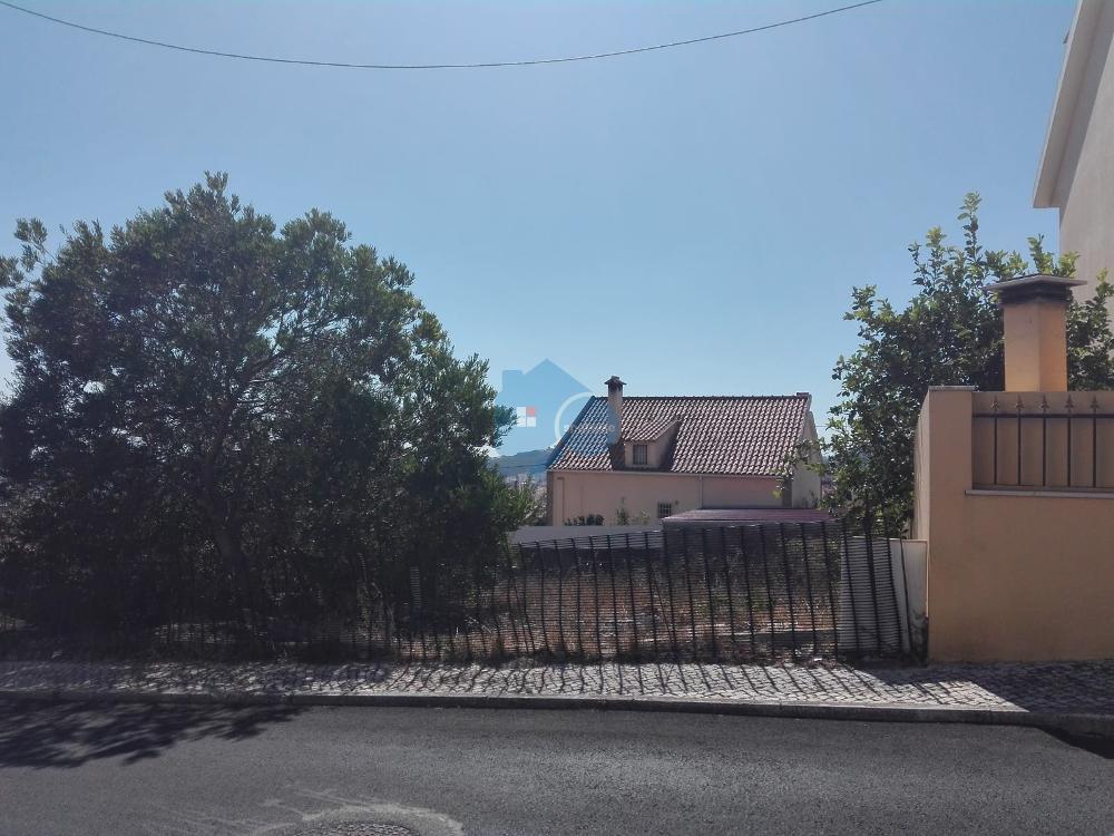 Sabugo Sintra 土地 照片 #request.properties.id#