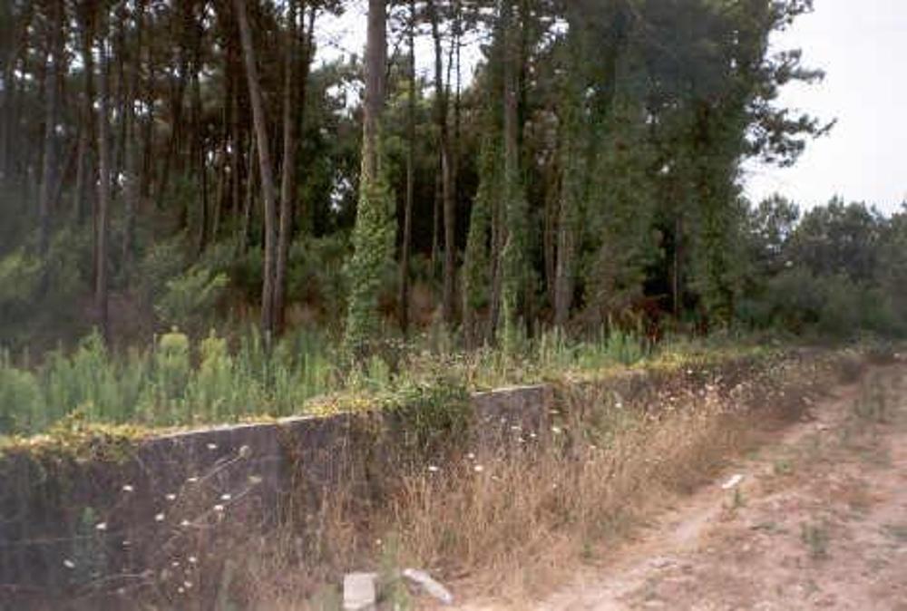 Chafé Viana Do Castelo Grundstück Bild 18138