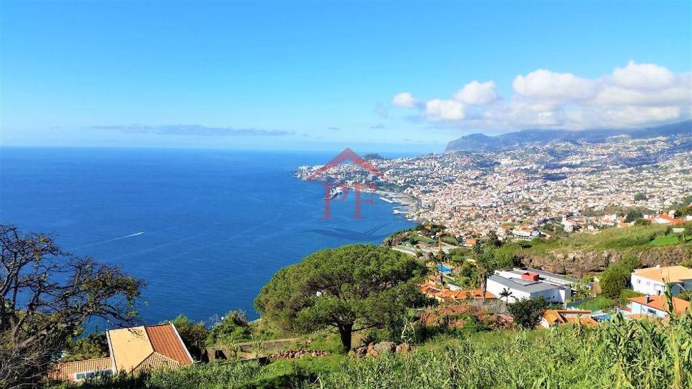 Funchal Funchal tomt foto 15516