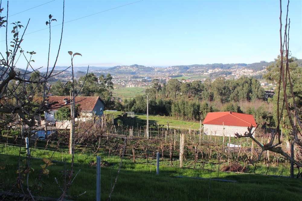 Ponte Guimarães Grundstück Bild 84951