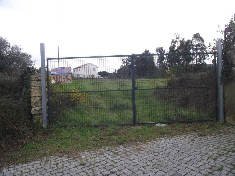  à venda terreno  Viana do Castelo  Viana Do Castelo 5