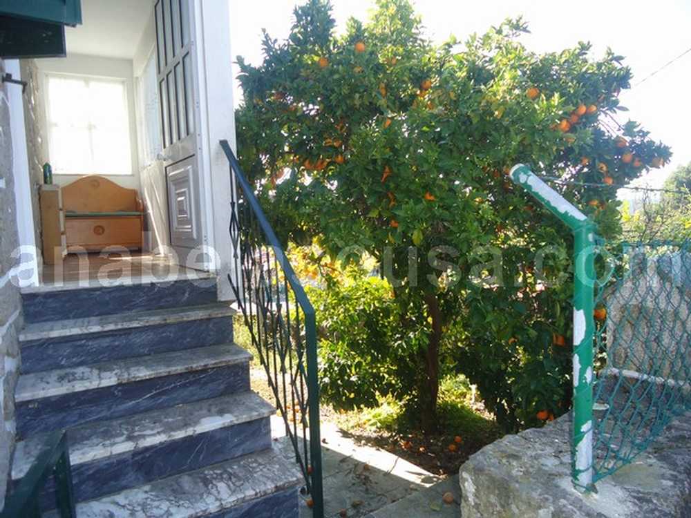  for sale house  Routar  Viseu 3