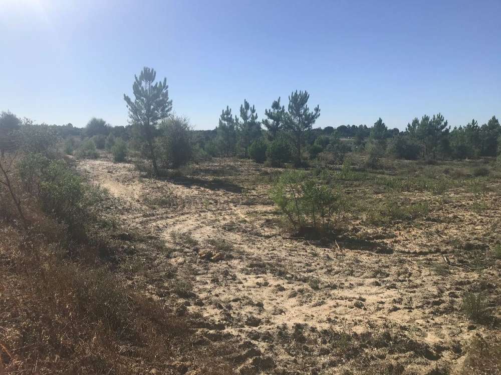  for sale terrain  Canha  Montijo 3