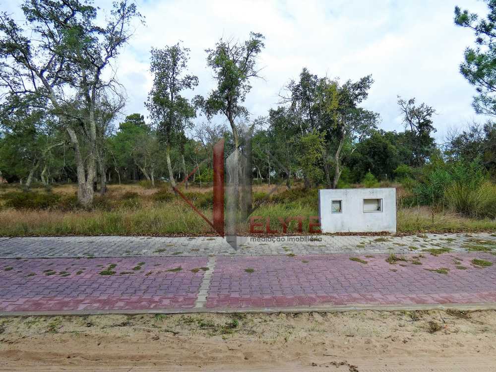  kaufen Grundstück  Casal da Cruz  Santarém 3