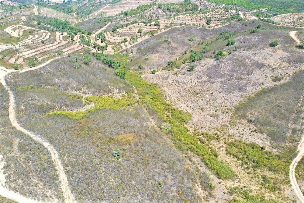 for sale terrain  Sabóia  Odemira 3