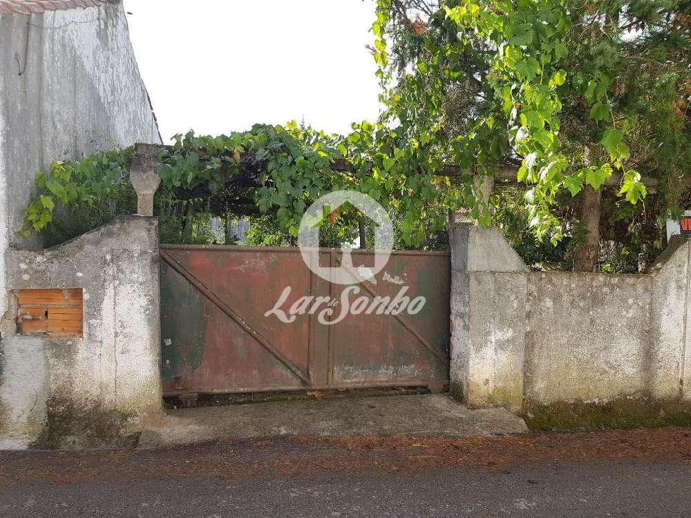  à vendre terrain  Fonte Longa  Vila Nova De Poiares 2