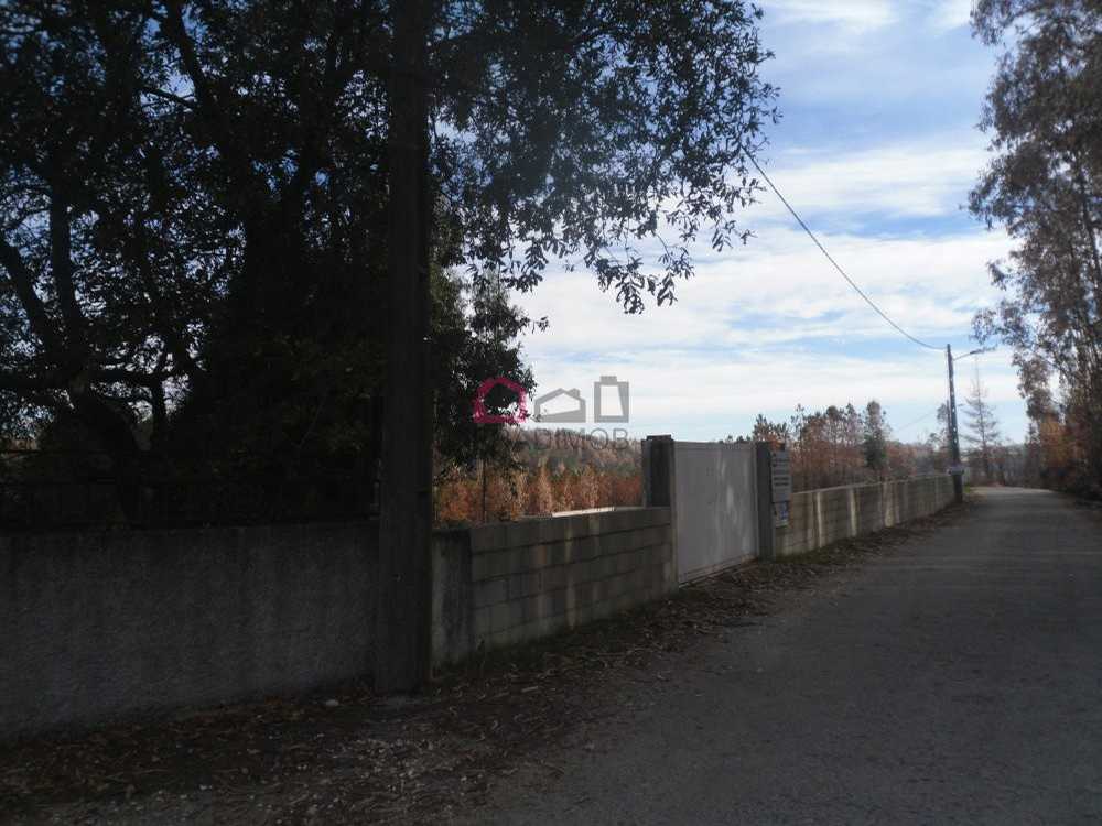 Quinta das Sobreiras Viseu Grundstück Bild 129167