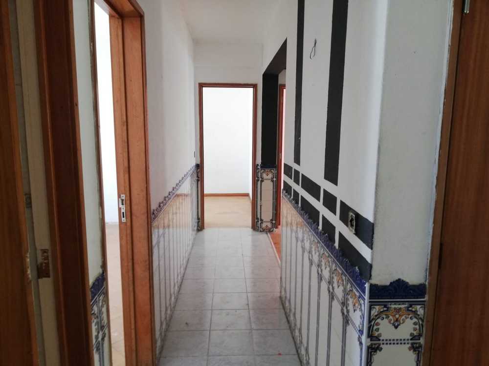 Azeitão Setúbal apartment picture 145302