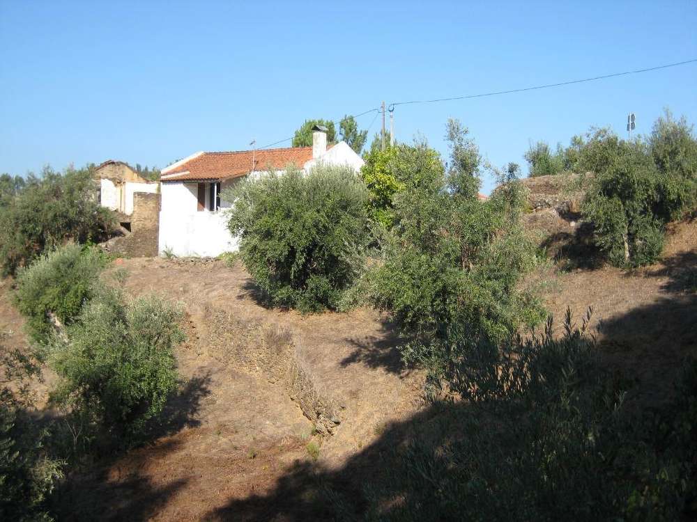  for sale house  Fontes  Abrantes 3