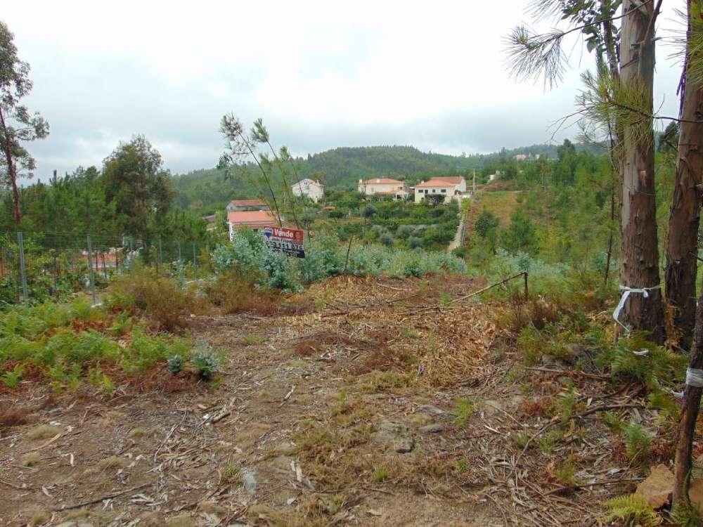 Sertã Sertã terrain picture 145193