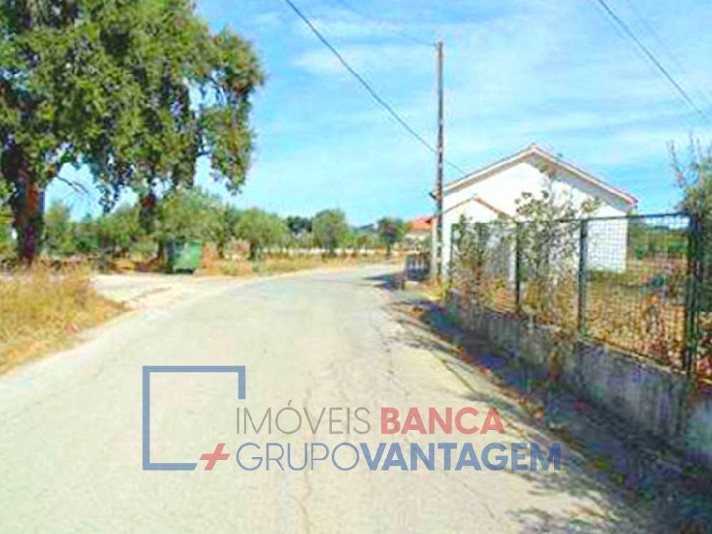  kaufen Grundstück  Alcanede  Santarém 2
