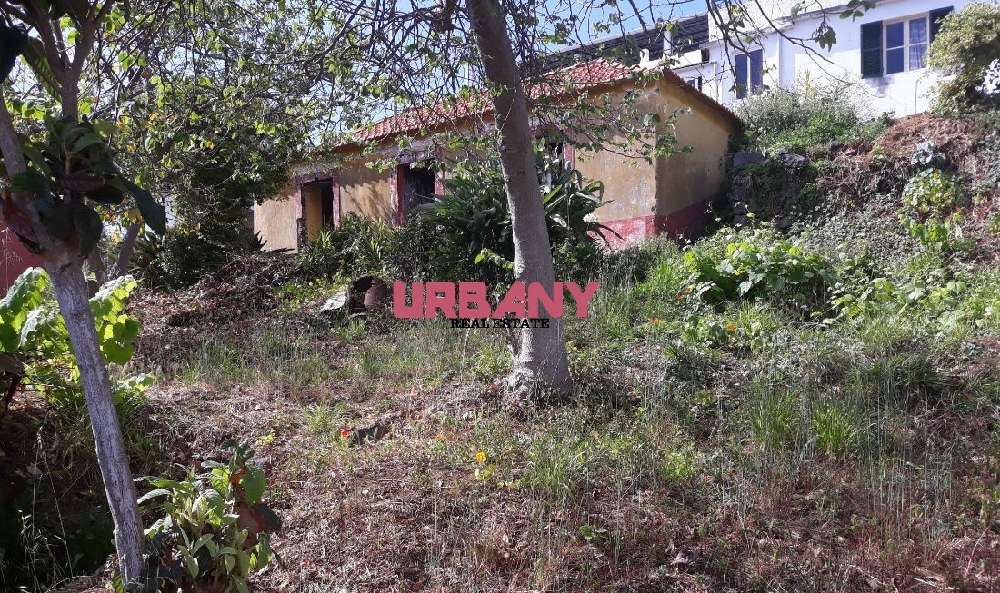 Funchal Funchal terreno foto #request.properties.id#