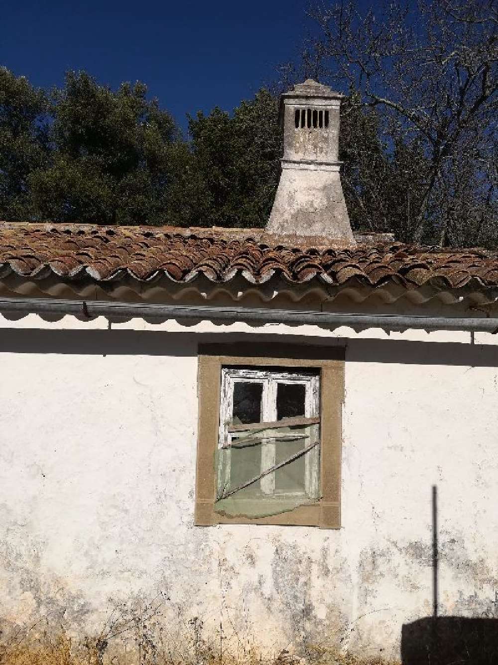 São Brás de Alportel São Brás De Alportel maison photo 177294