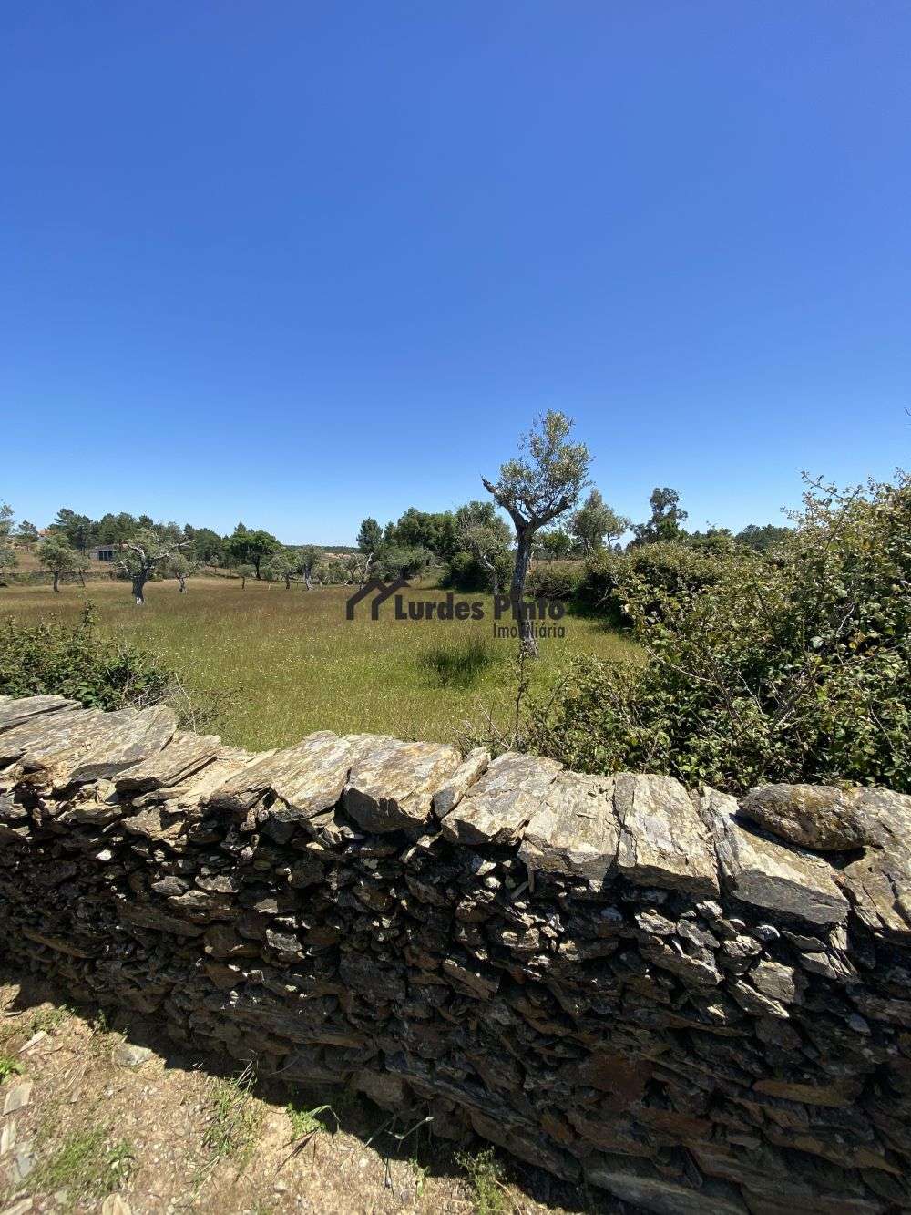 Vila Velha de Ródão Vila Velha De Ródão terrain photo 185894