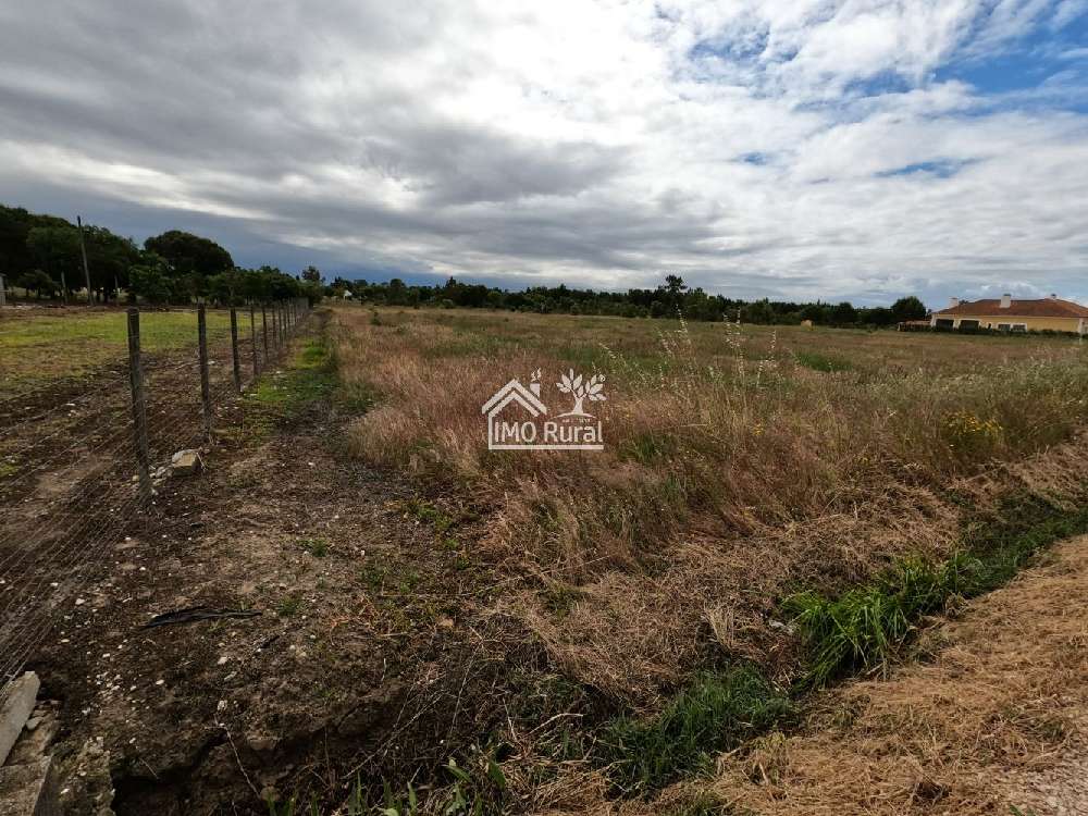 Salvaterra de Magos Salvaterra De Magos terreno foto #request.properties.id#