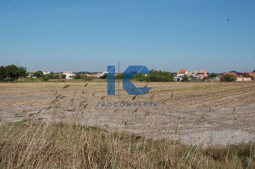 Torreira Murtosa terrain photo 182500
