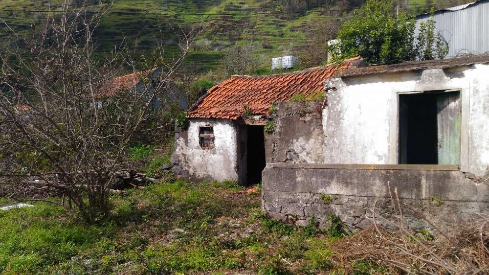 Calheta Calheta (Madeira) 别墅 照片 #request.properties.id#