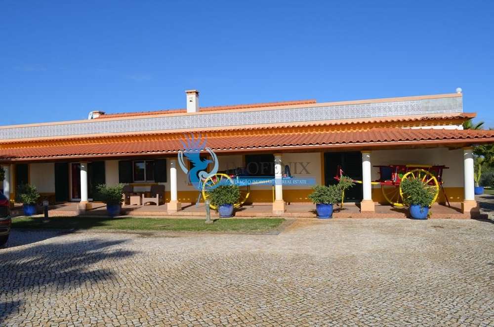 Mexilhoeira da Carregação Lagoa (Algarve) villa picture 196463