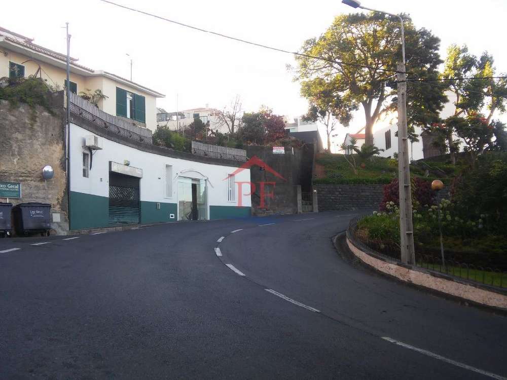 Funchal Funchal Haus Bild 219111