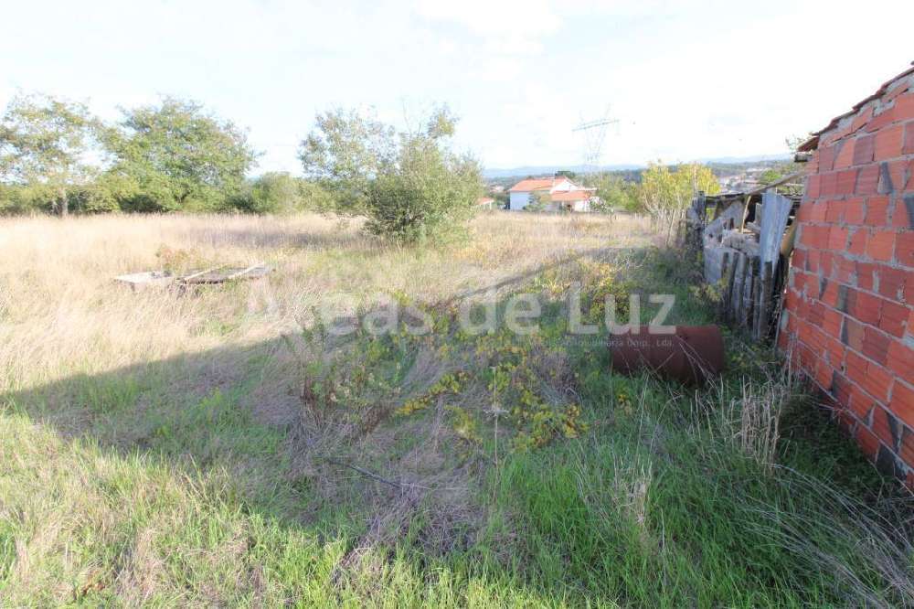 Maceira Leiria terrain photo 219318