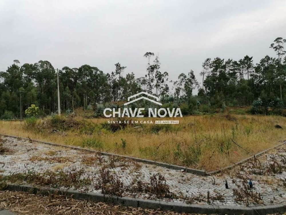 Fajões Oliveira De Azeméis terreno foto #request.properties.id#