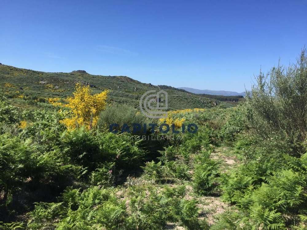 Ovil Baião terreno foto #request.properties.id#
