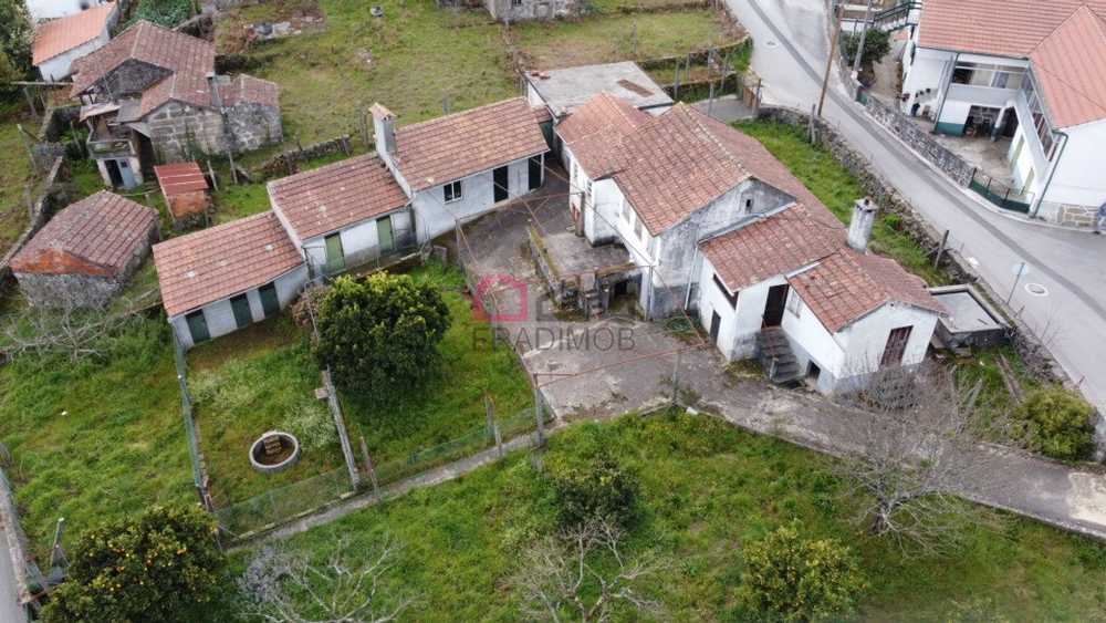 Serrazes São Pedro Do Sul Haus Bild 221300