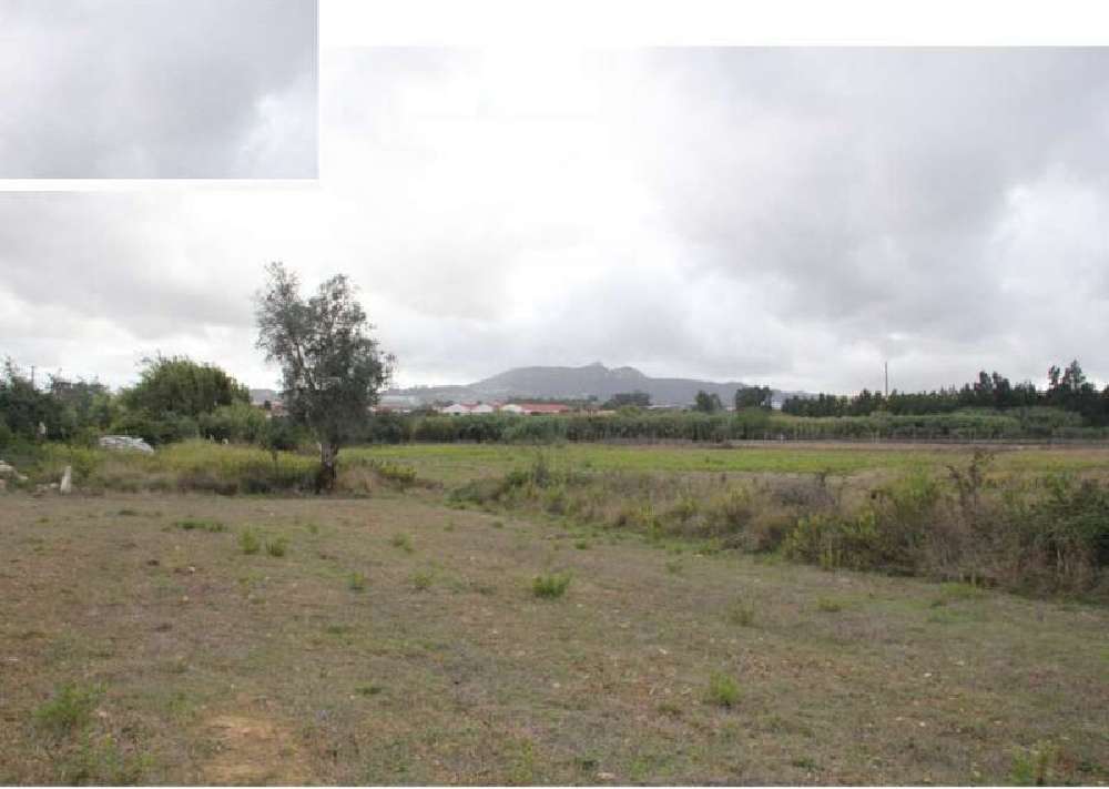 Terrugem Oeiras terreno foto #request.properties.id#