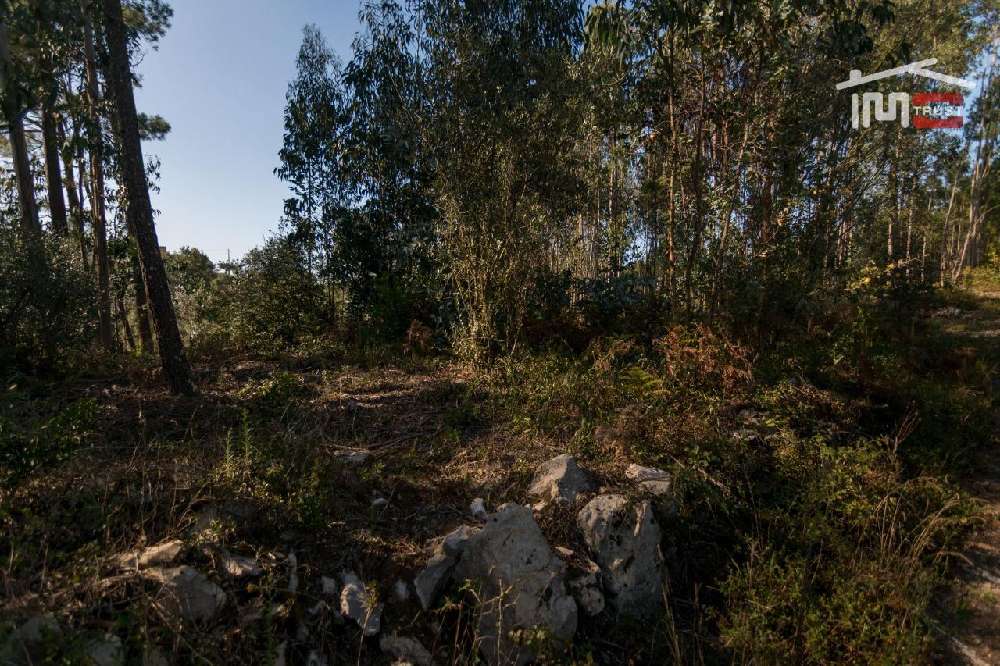 Serra Ansião 土地 foto 222765