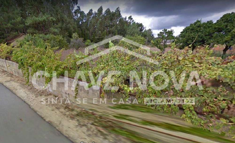 Oliveira do Bairro Oliveira Do Bairro 土地 照片 #request.properties.id#
