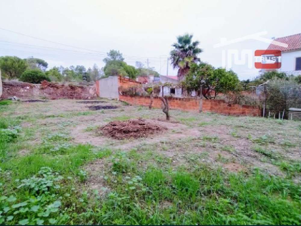  for sale terrain  Quinta do Anjo  Palmela 2