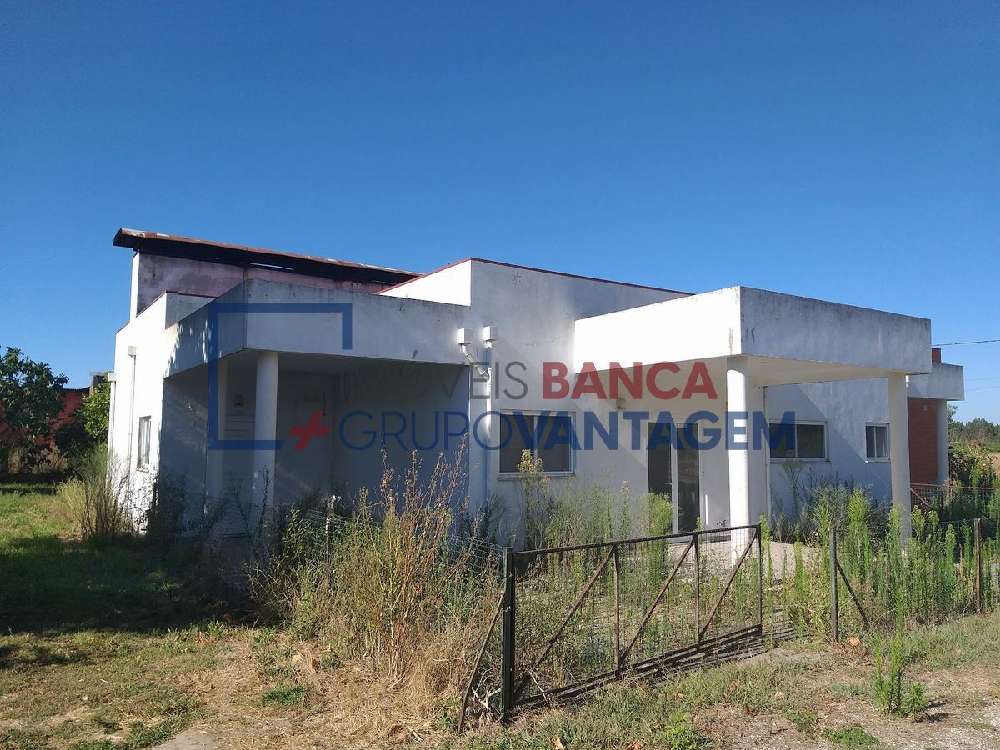  出售 屋  Camarneira  Cantanhede 3