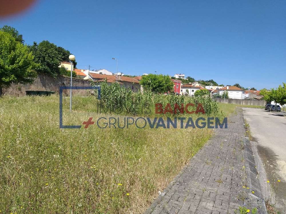  kaufen Grundstück  Ameal  Coimbra 2