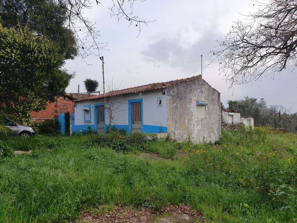  à vendre maison  Juncal  Porto De Mós 2