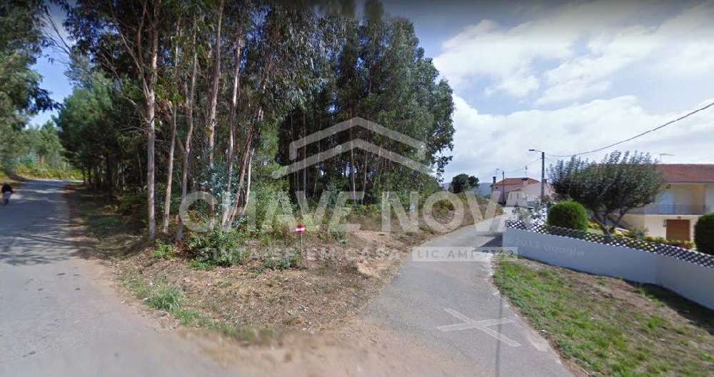 Pinheiro Oliveira De Azeméis Grundstück Bild 201693
