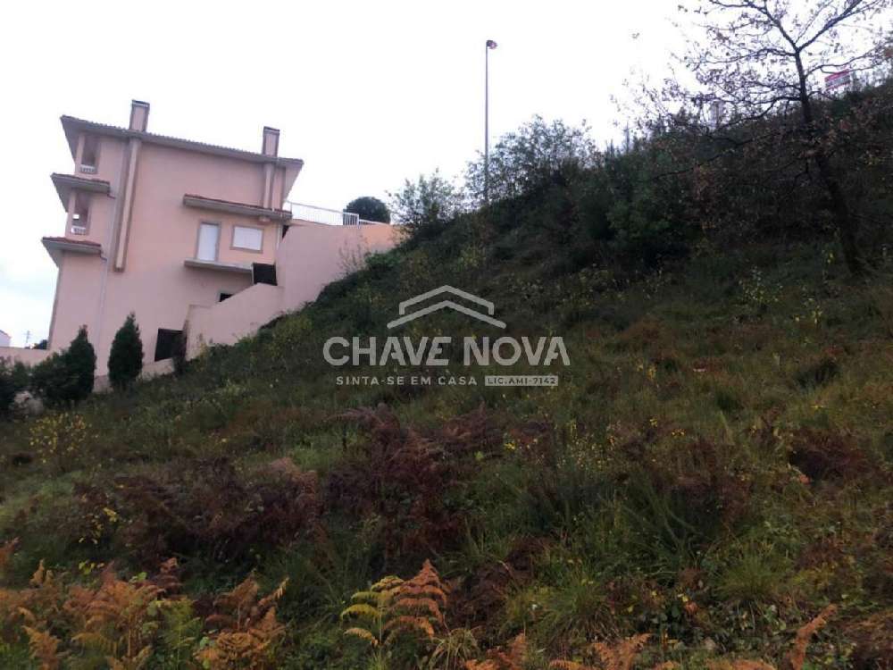 Pedorido Castelo De Paiva terrain picture 201565