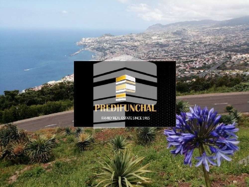 Funchal Funchal Grundstück Bild 197690