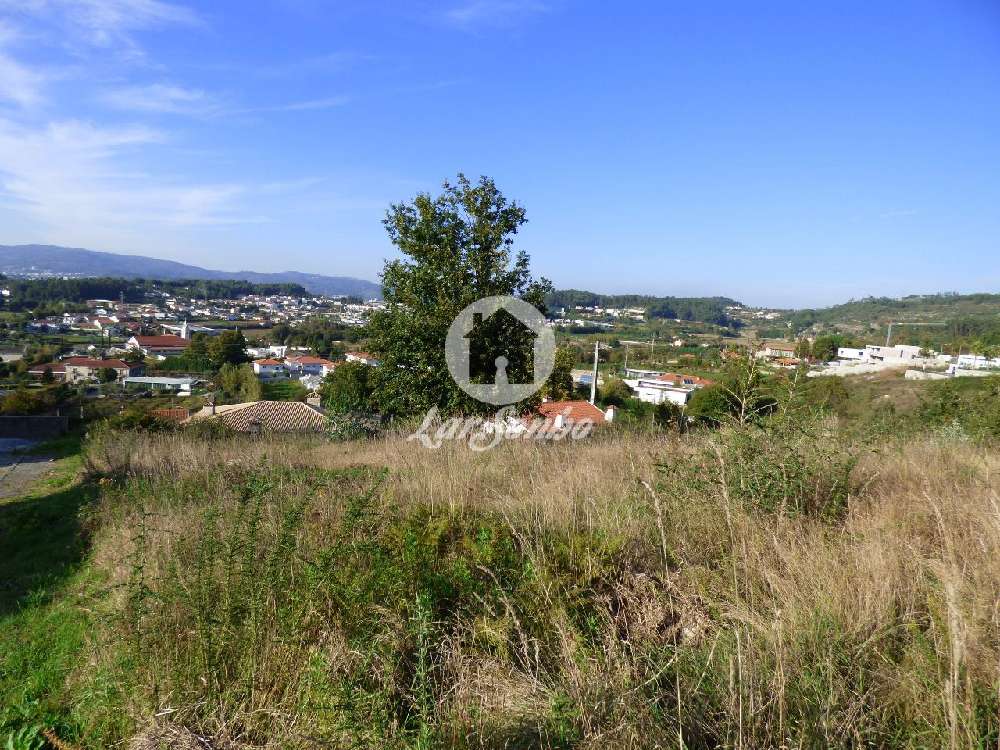 Corvite Guimarães terrain picture 199842
