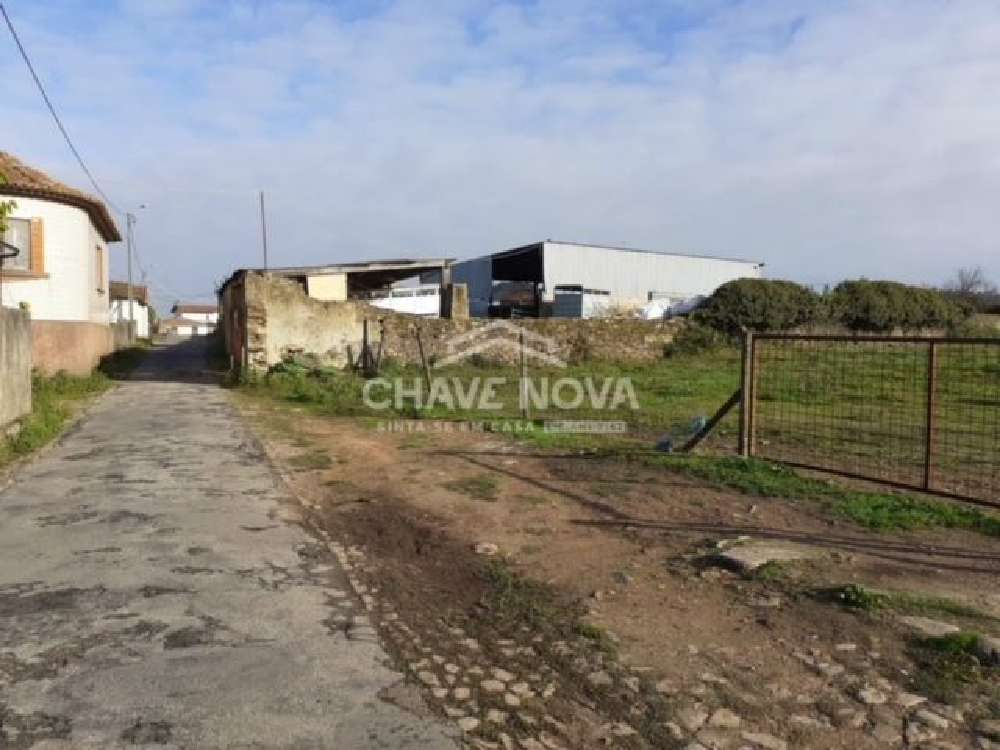 Loureiro Oliveira De Azeméis terreno foto #request.properties.id#