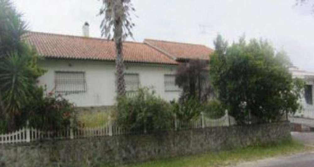 Rio Maior Rio Maior Haus Bild 205645