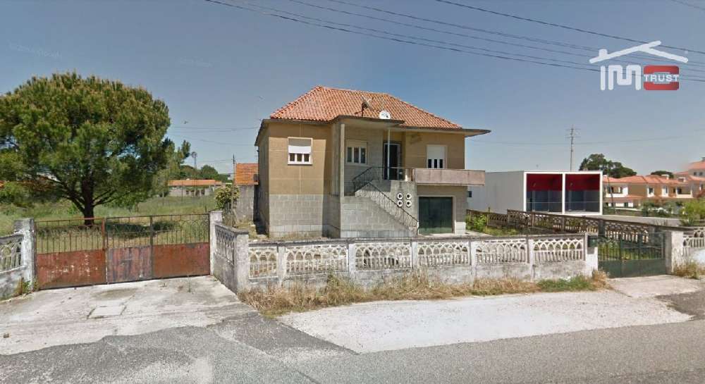 Cartaxo Cartaxo Haus Bild 205026