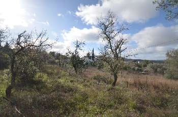 Benafim Loulé Grundstück Bild