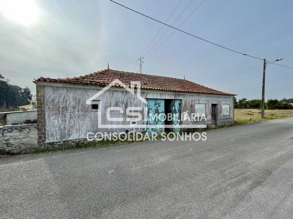 Santo António Albergaria-A-Velha Haus Bild 207359