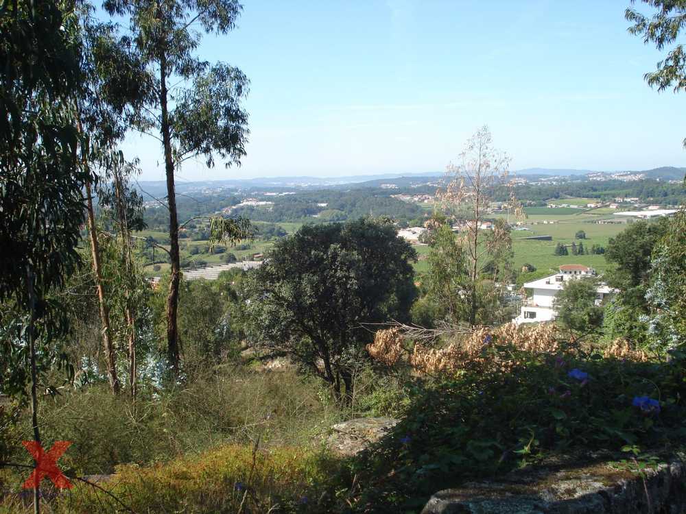 Requião Vila Nova De Famalicão terrain picture 207560