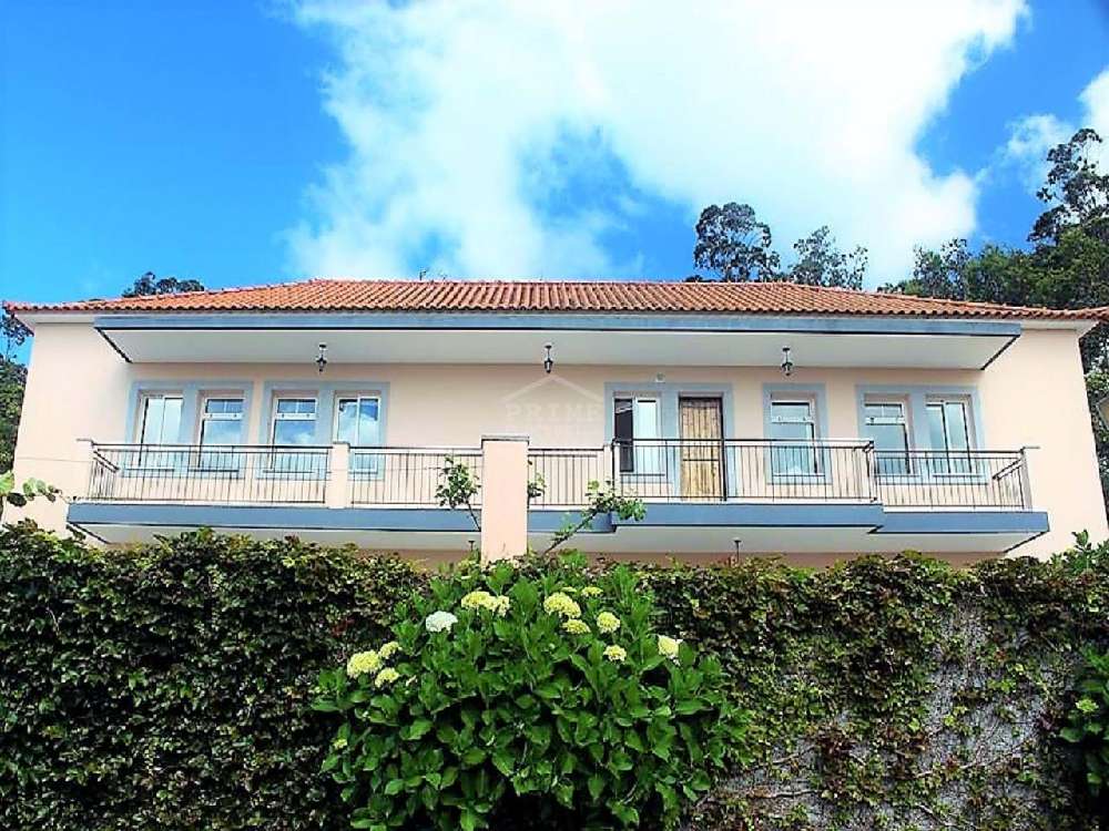 Santa Porto Moniz villa picture 207785