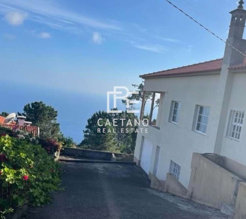 Calheta Calheta (Madeira) villa picture 212684